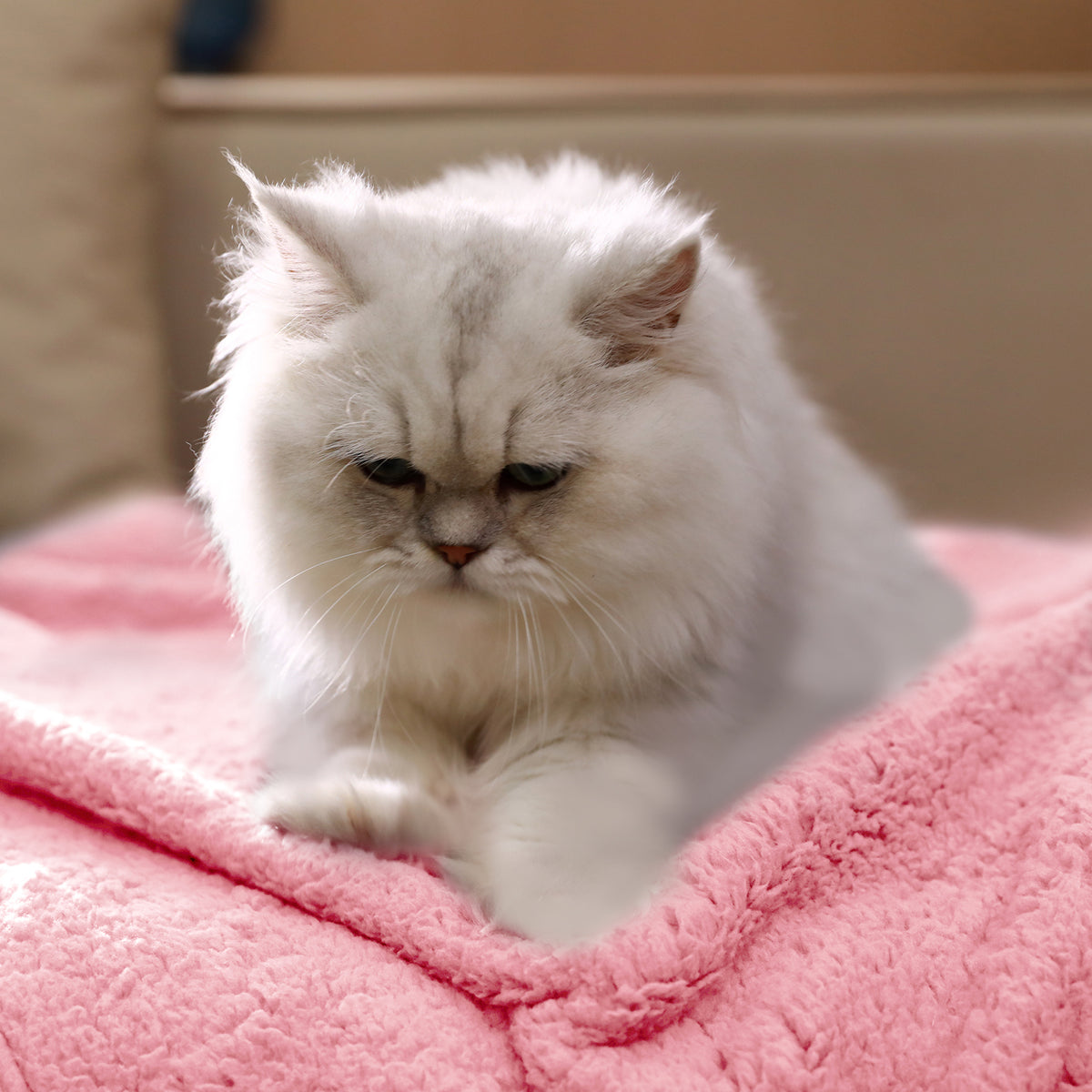 Sherpa Pet Blanket for Small Medium Dogs