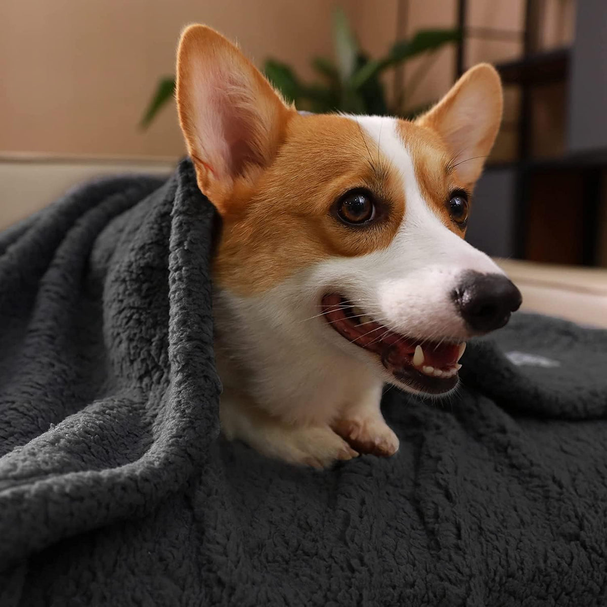 Waterproof Pet Blanket, Liquid Pee Proof Dog Blanket for Sofa Bed Couch, Reversible Sherpa Fleece Furniture Protector Cover for Small Medium Large Dogs Cats, Dark Gray Small（40" x 28"）