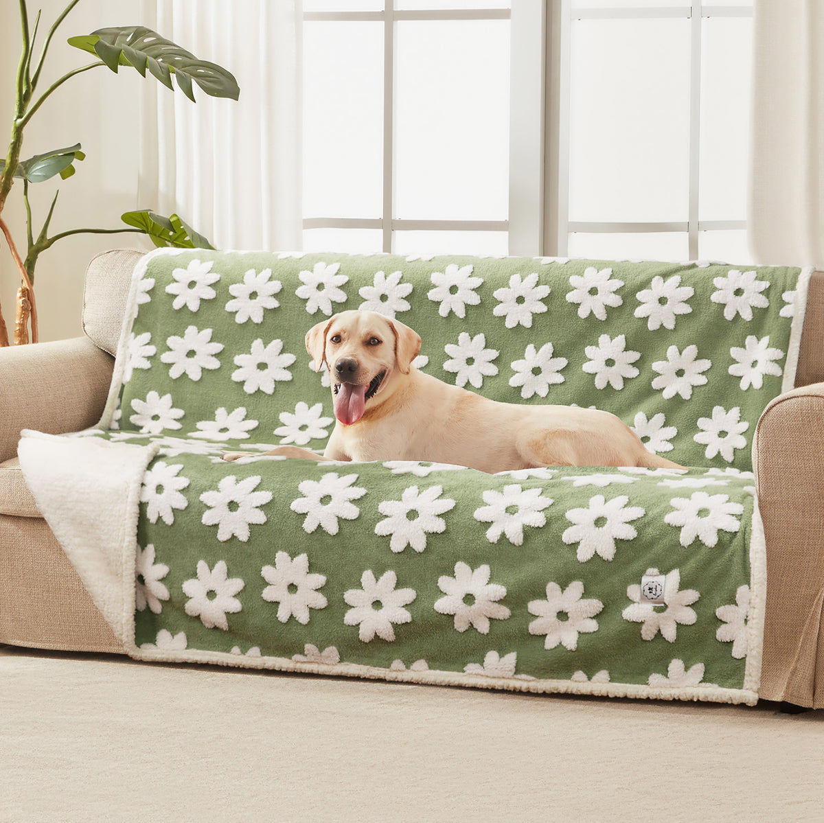 Waterproof Leakproof Blanket for Dogs and Cats Green