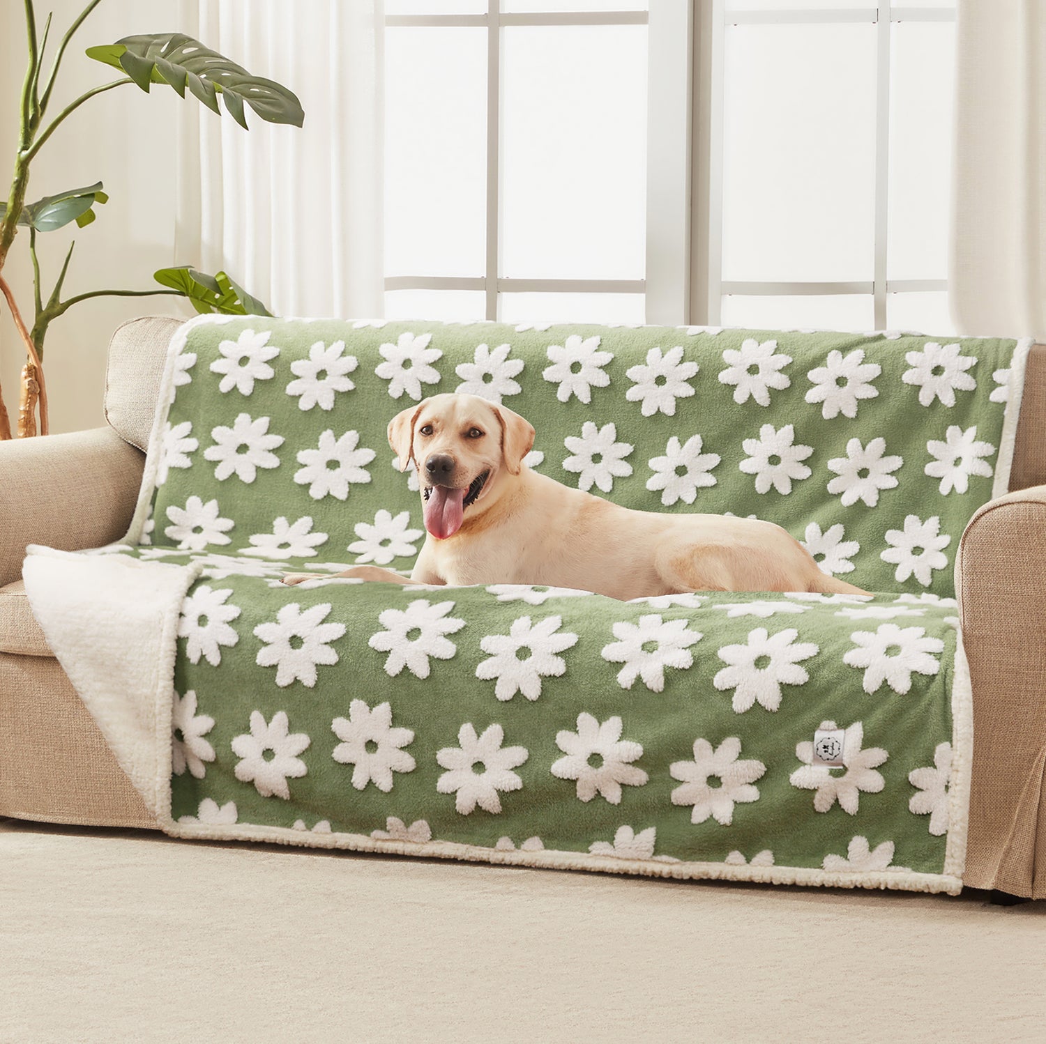 Waterproof Leakproof Blanket for Dogs and Cats Green