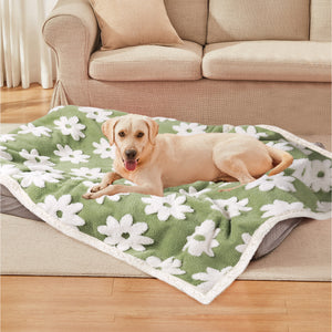 Waterproof Leakproof Blanket for Dogs and Cats Green