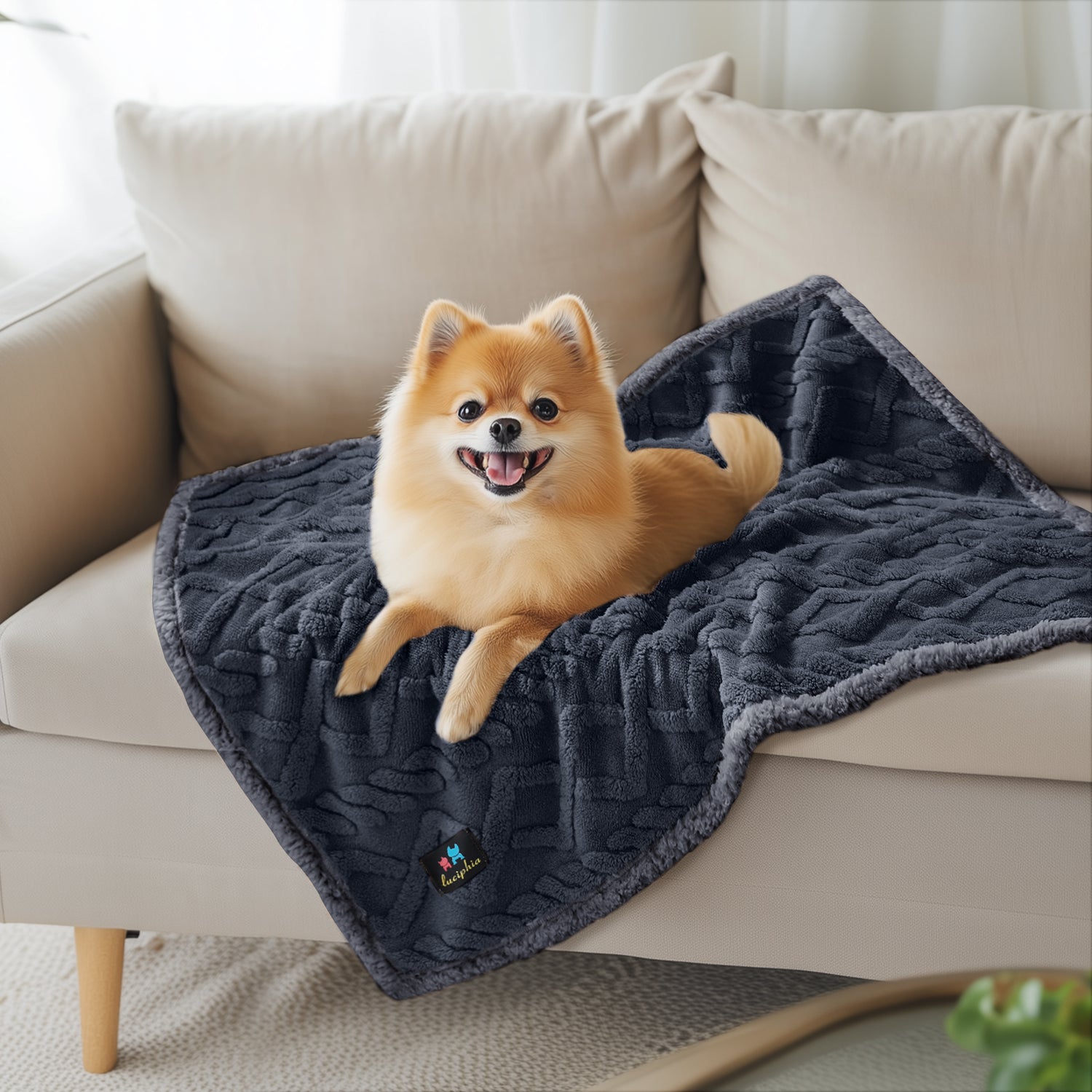 Reversible Sherpa Fleece Waterproof Pet Blanket Dark Grey