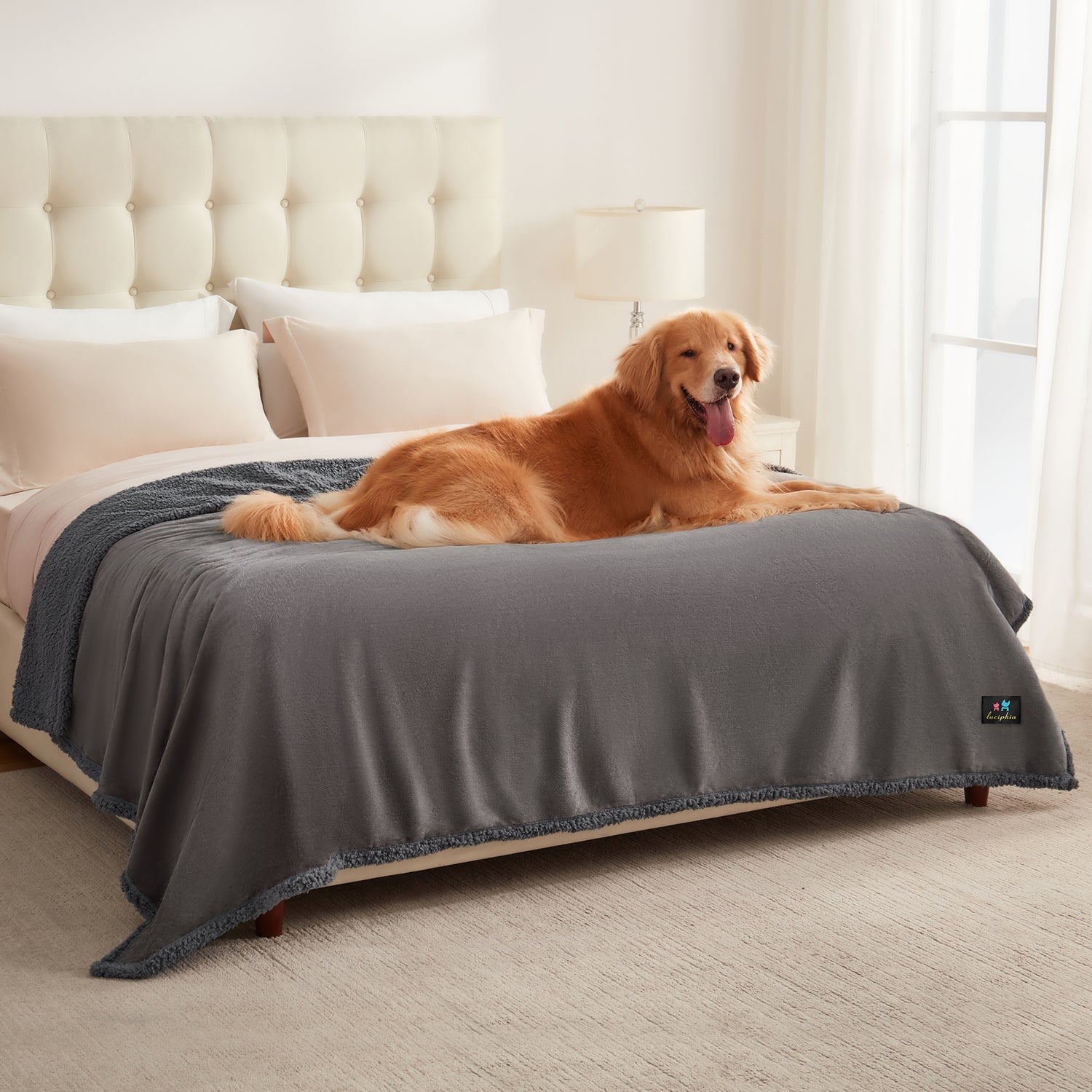 Reversible Waterproof Blanket for Large Dogs Light Grey