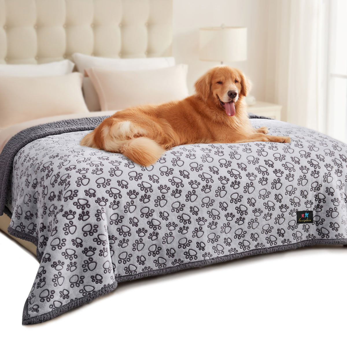Waterproof Dog & Cat Blanket for Couch Sofa Bed