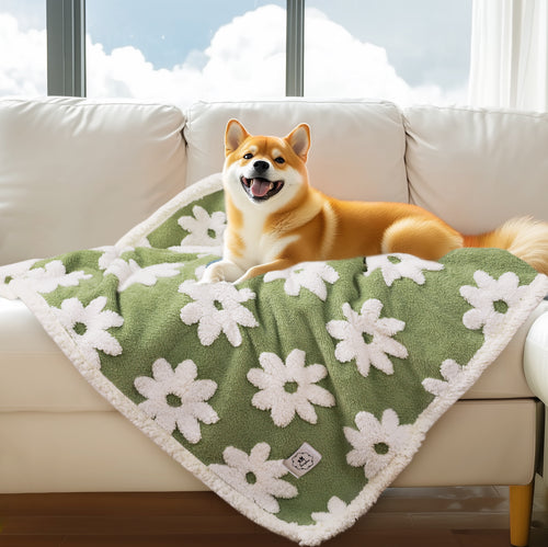 Waterproof Leakproof Blanket for Dogs and Cats Green