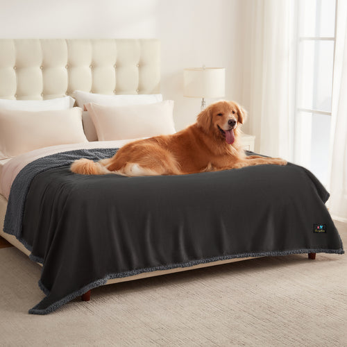 Reversible Waterproof Blanket for Large Dogs Grey