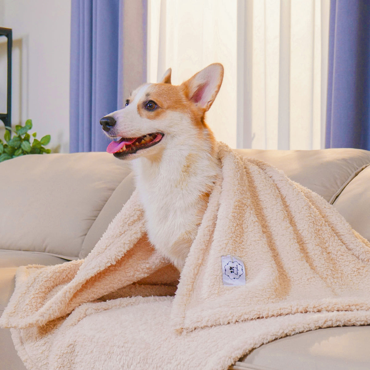 Soft Sherpa Dog Blanket for Dog Puppy Cat Beige/Black/Grey
