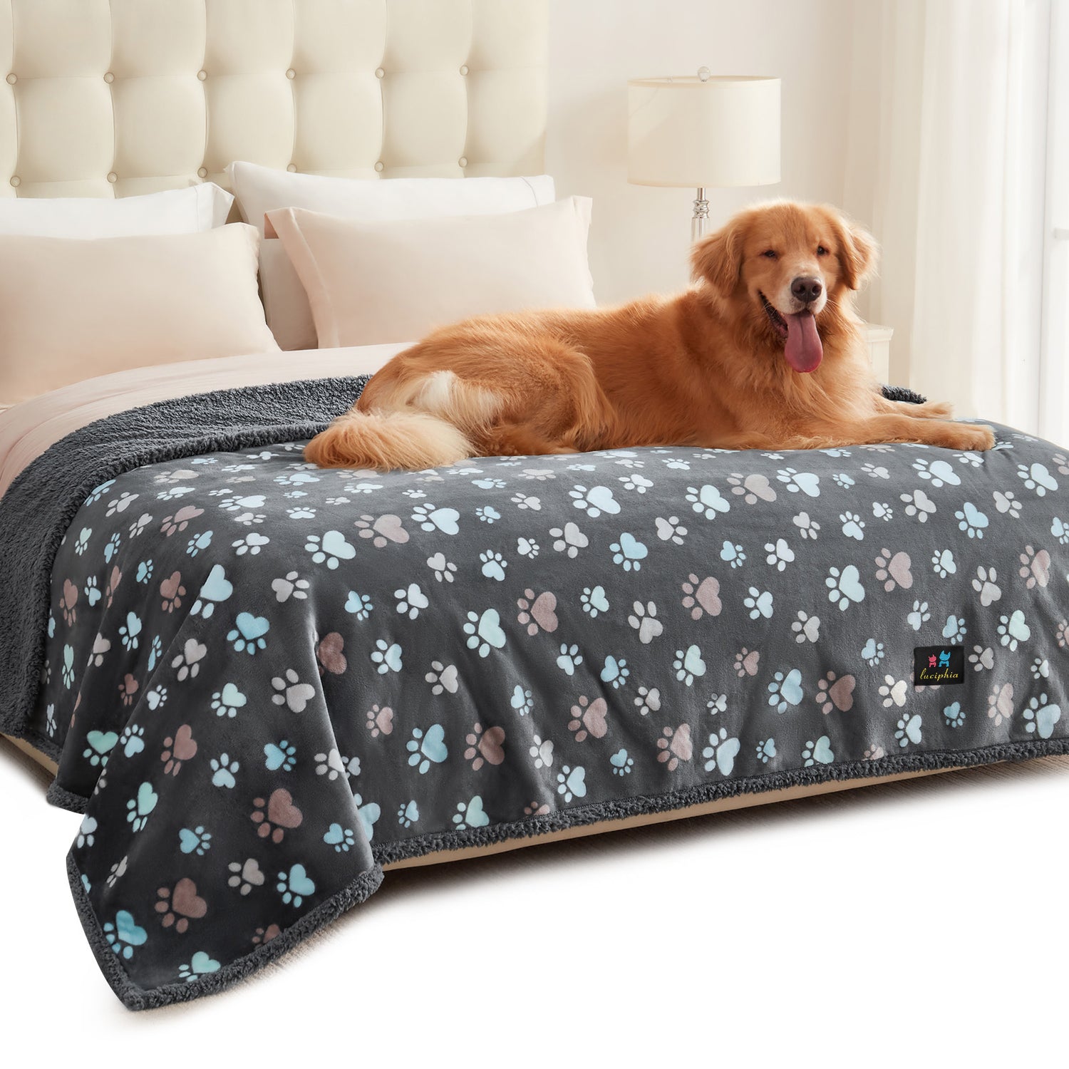 Waterproof Dog & Cat Blanket for Couch Sofa Bed