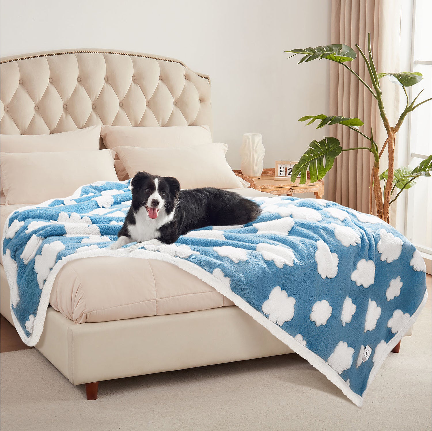 Waterproof Pet Blanket for Dogs and Cats Blue