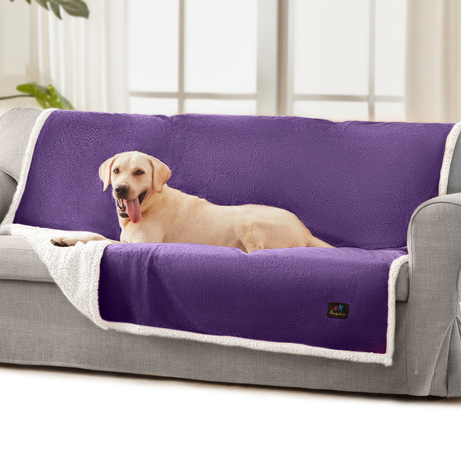 Reversible Waterproof Blanket for Large Dogs Purple White