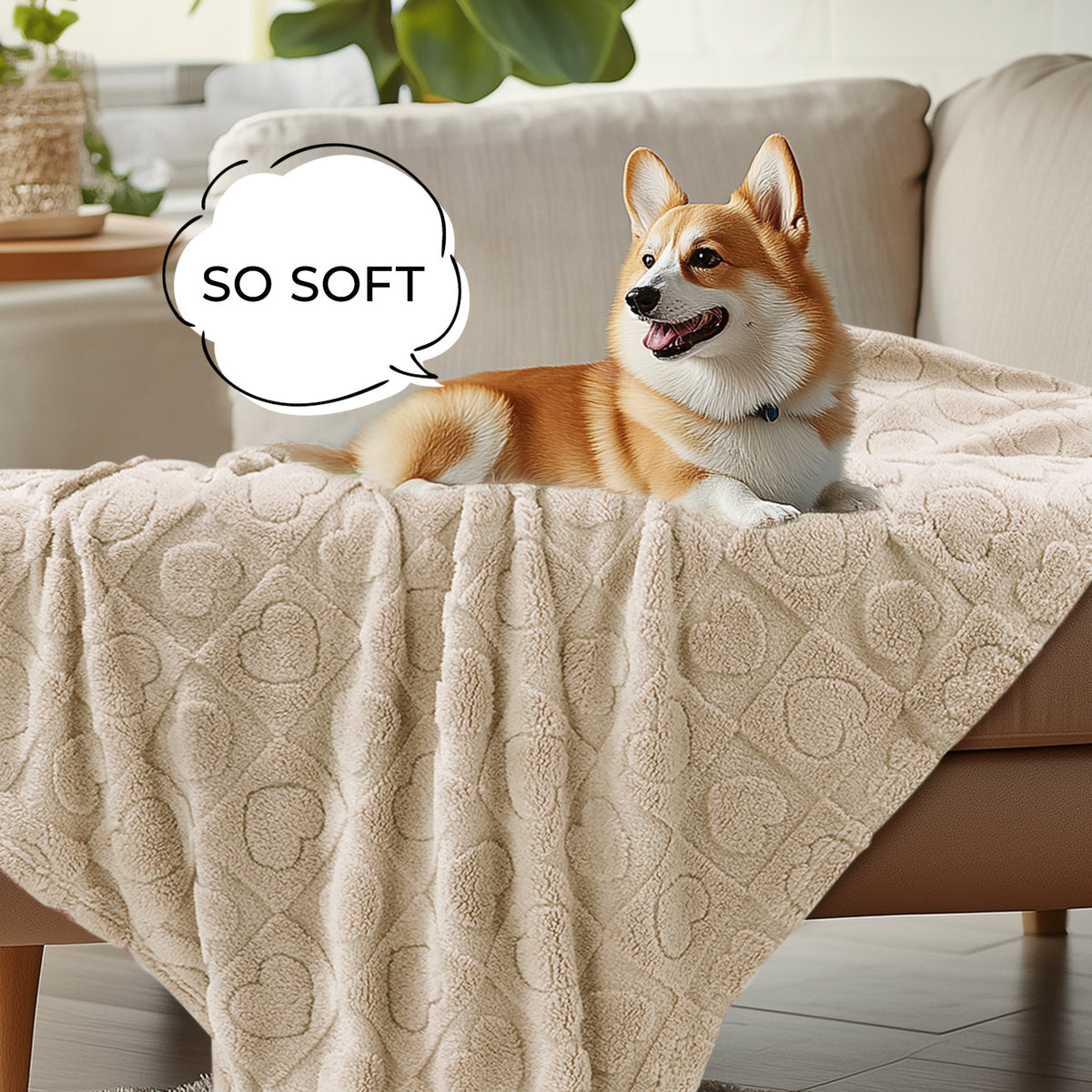 Washable Pet Blanket for Cat and Dog Beige