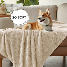 Load image into Gallery viewer, Washable Pet Blanket for Cat and Dog Beige