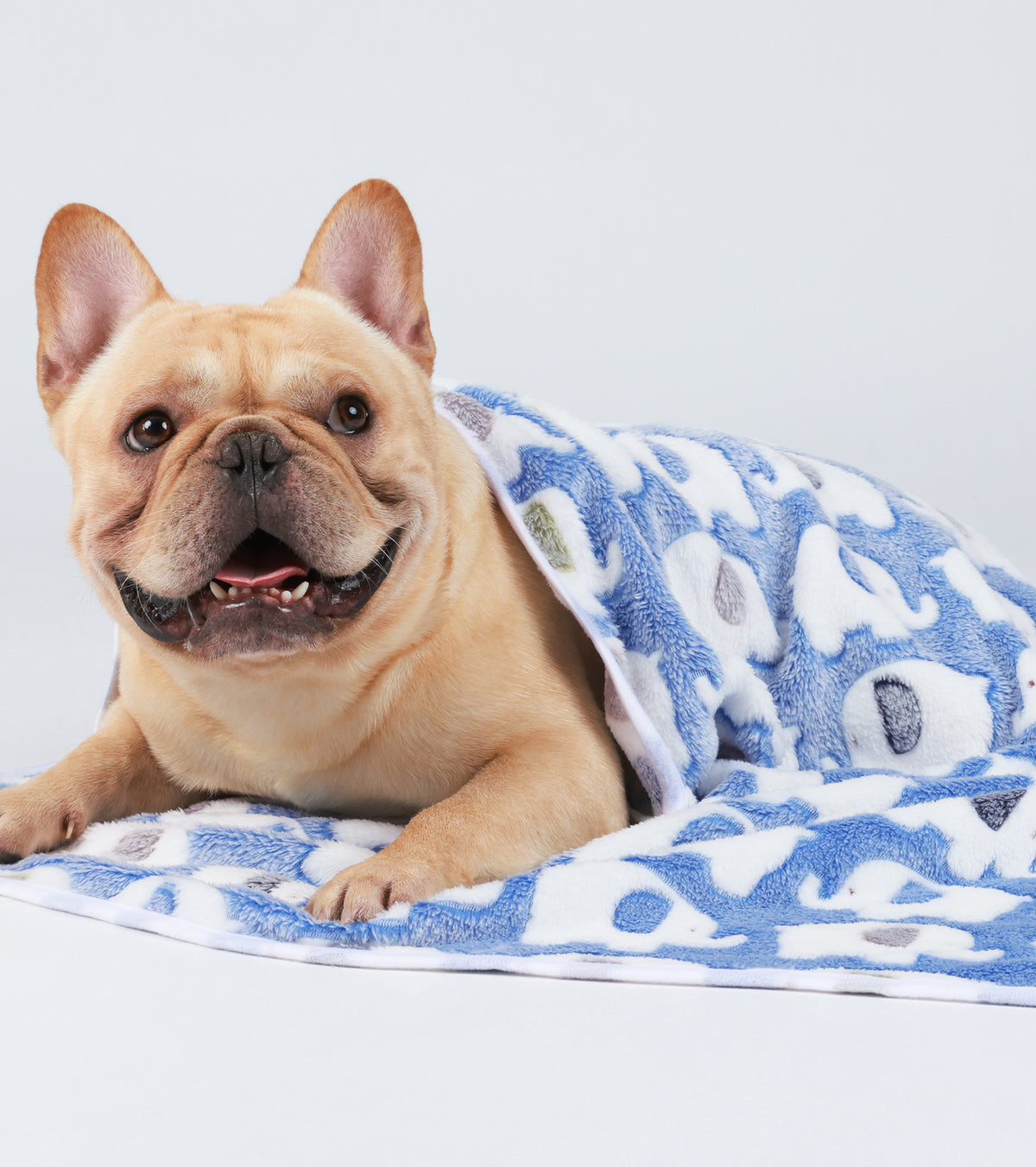 1 Pack 3 Premium Fleece Dog and Cat Blanket