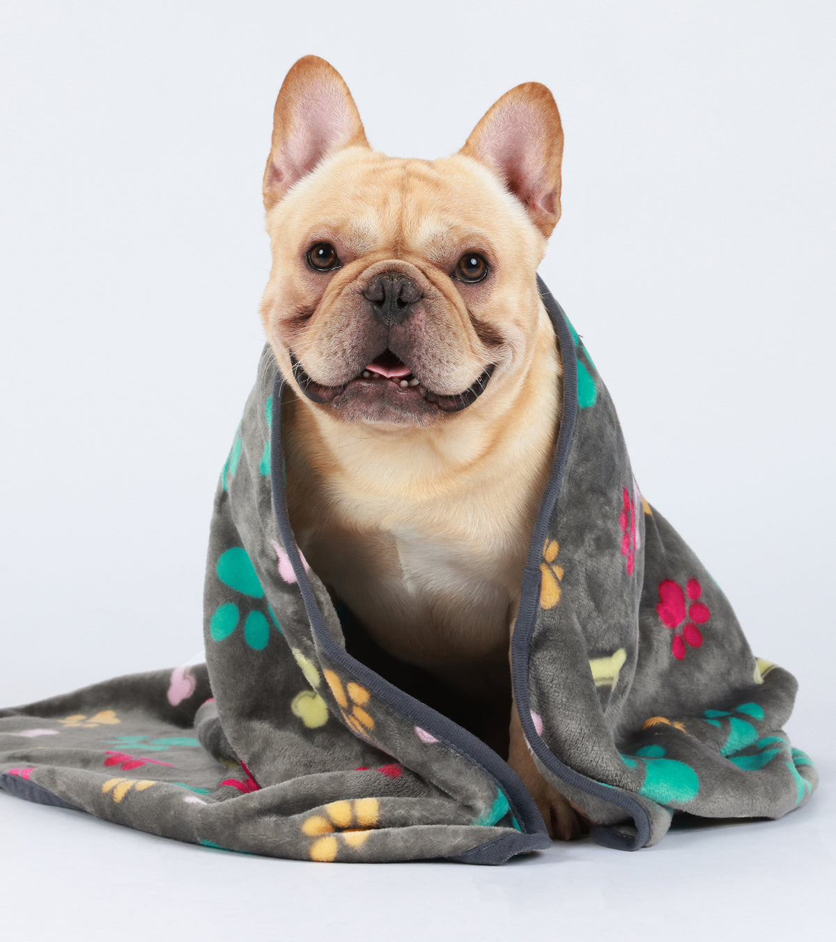 Flannel Paw Printed Pet Blankets | 1 Pack 3 Grey