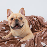 Premium Fleece Dog and Cat Blanket Brown/Yellow/Blue