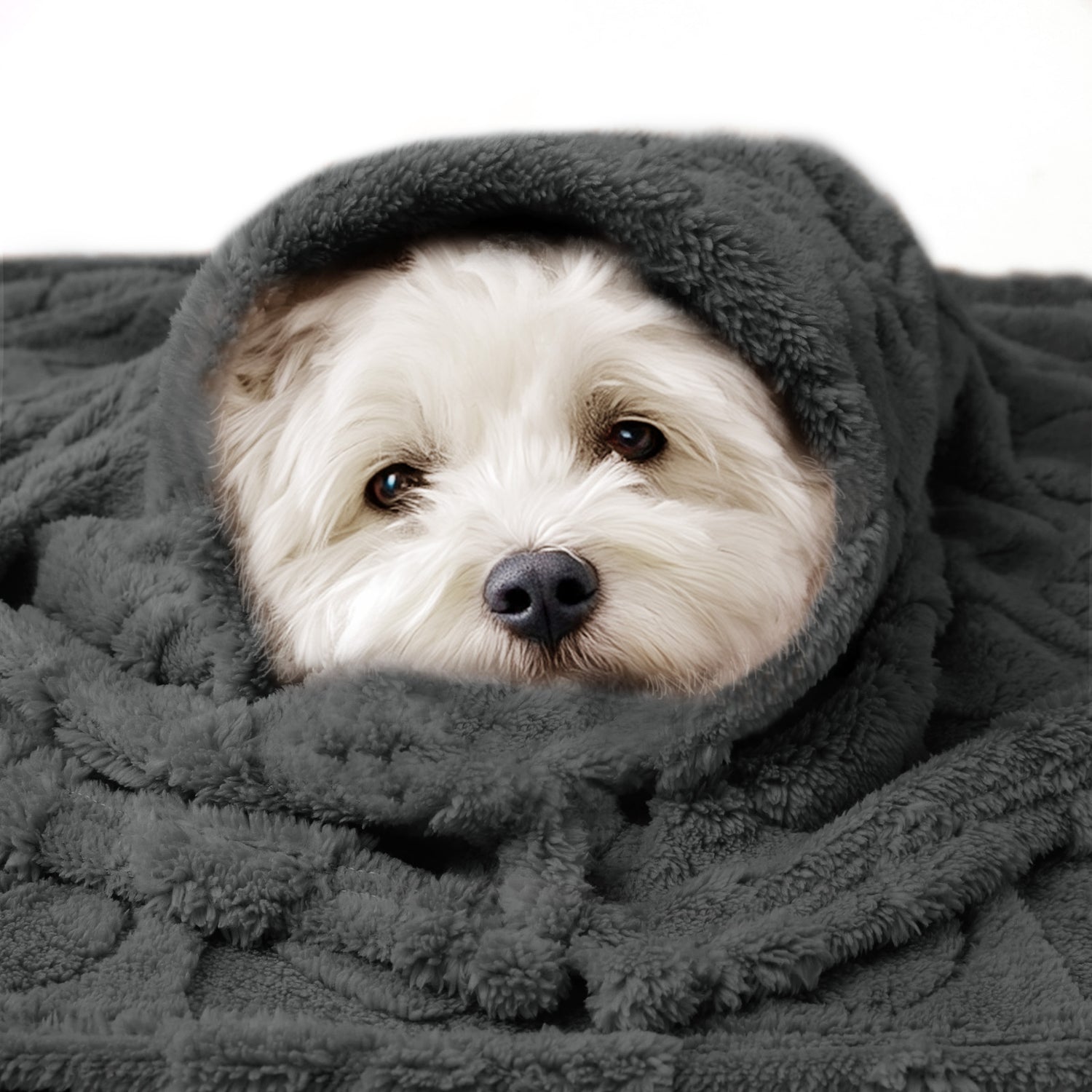 Soft Premium Fleece Cozy Calming Pet Blankets for Dogs & Cats