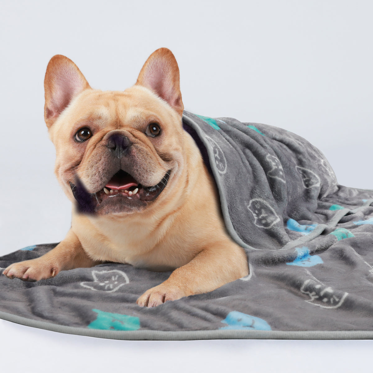 Premium Fleece Dog and Cat Blanket Blue/Cyan/Grey