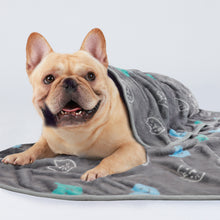 Load image into Gallery viewer, Premium Fleece Dog and Cat Blanket Blue/Cyan/Grey