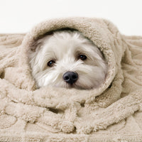 Washable Pet Blanket for Cat and Dog Beige