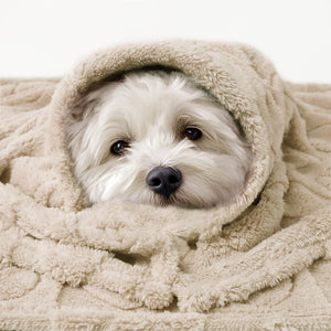 Washable Pet Blanket for Cat and Dog Beige