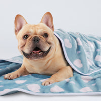 1 Pack 3 Soft Flannel Dog Blanket for Sofa Purple/Pink/Cyan