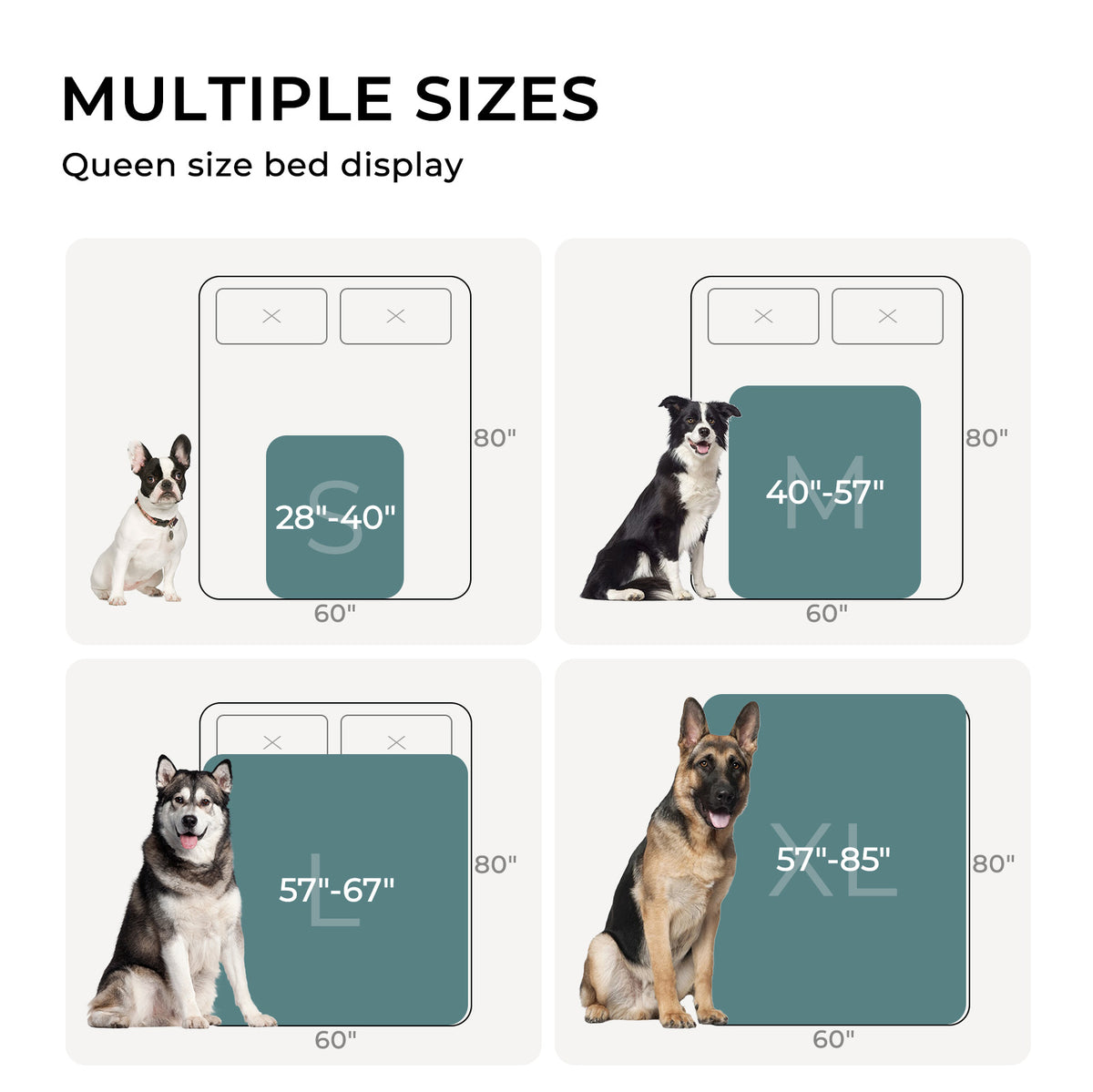 3D Textured Flower Print Waterproof Pet Blanket Blue
