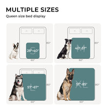 Load image into Gallery viewer, 3D Textured Flower Print Waterproof Pet Blanket Blue