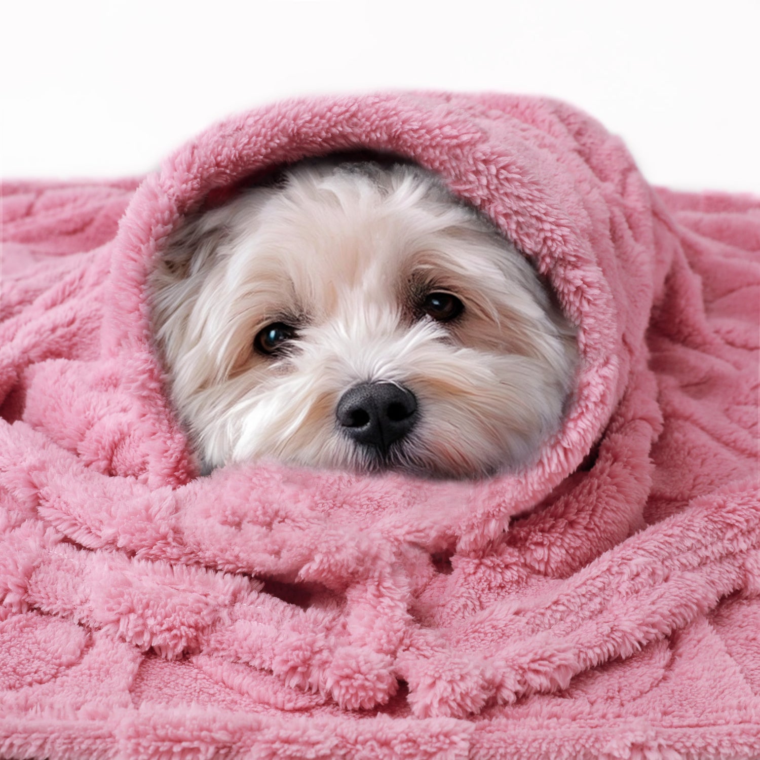 Washable Pet Blanket for Cat and Dog Pink