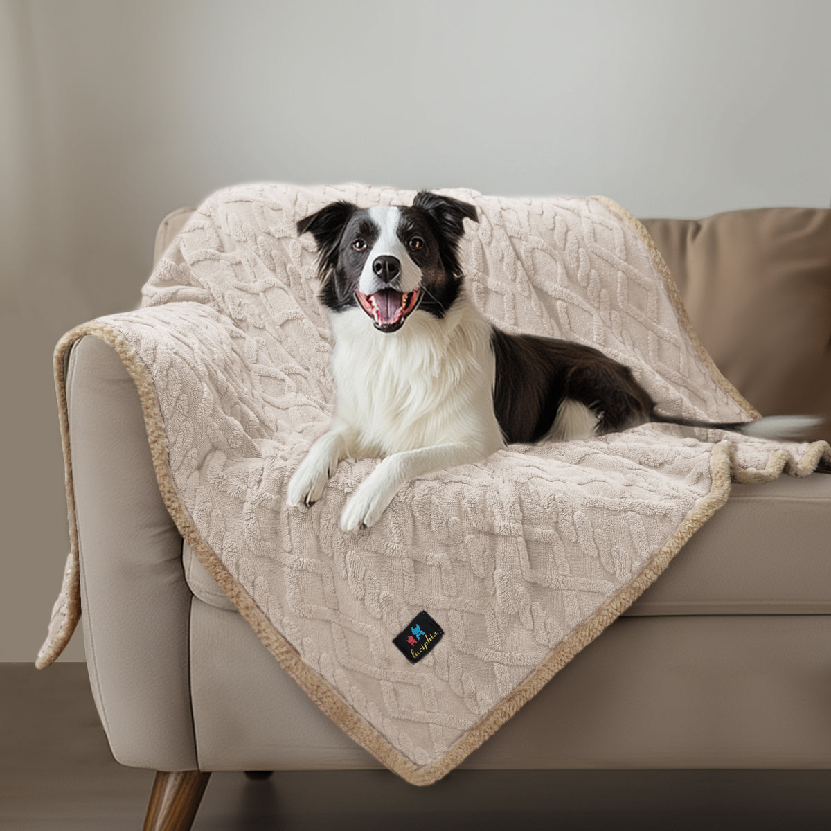 super-soft-reversible-sherpa-fleece-waterproof-pet-blanket#color_beige
