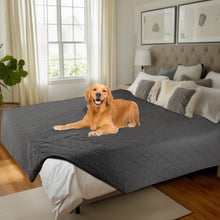 Load image into Gallery viewer, Waterproof Couch Cover Blanket for Dogs Grey