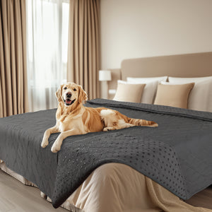 Waterproof Couch Cover Blanket for Dogs Grey