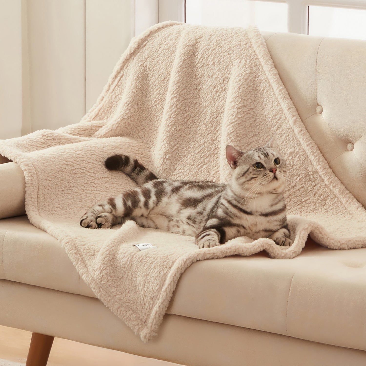 Soft Sherpa Dog Blanket for Dog Puppy Cat Beige