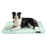 dog-and-cat-premium-cooling-pad-for-summer#clolor_green