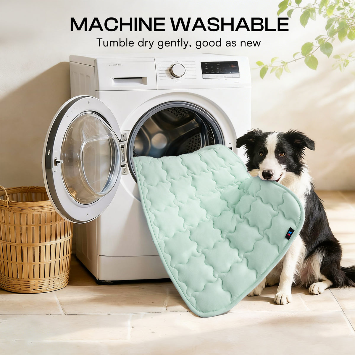 dog-and-cat-premium-cooling-pad-for-summer#clolor_green