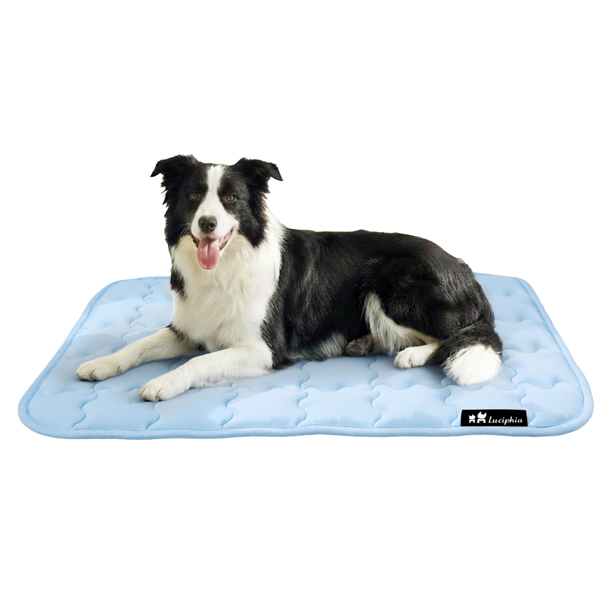 dog-and-cat-premium-cooling-pad-for-summer#clolor_blue