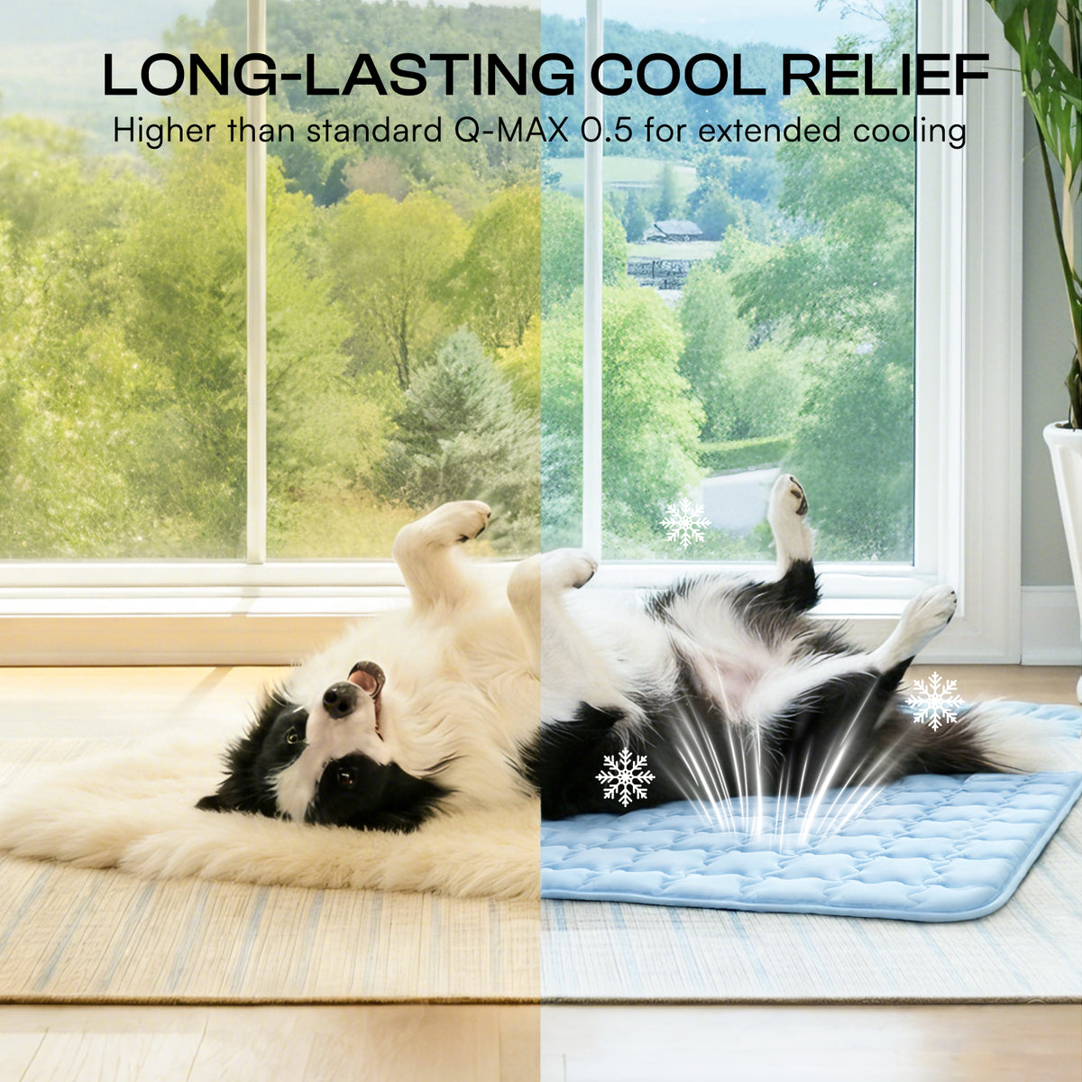 dog-and-cat-premium-cooling-pad-for-summer#clolor_blue