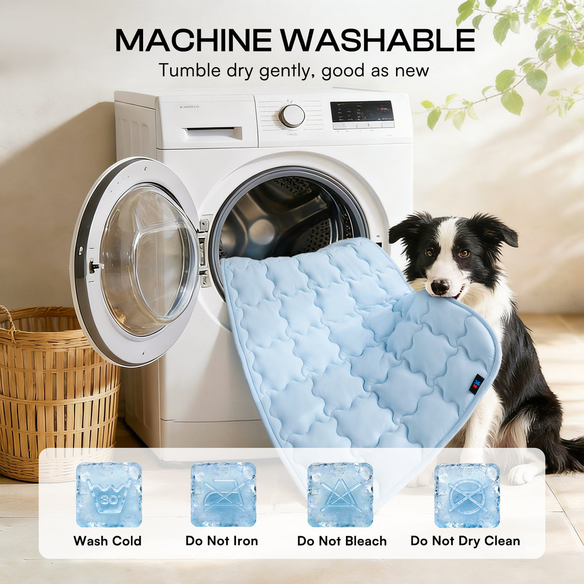 dog-and-cat-premium-cooling-pad-for-summer#clolor_blue