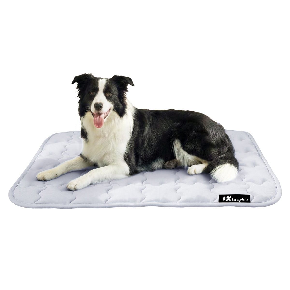 dog-and-cat-premium-cooling-pad-for-summer#clolor_light-grey