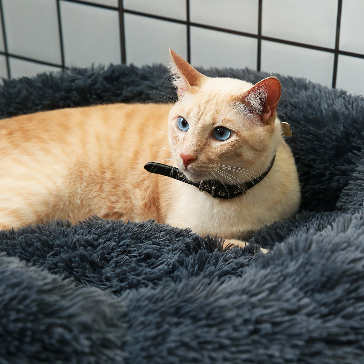 Round Pet Beds