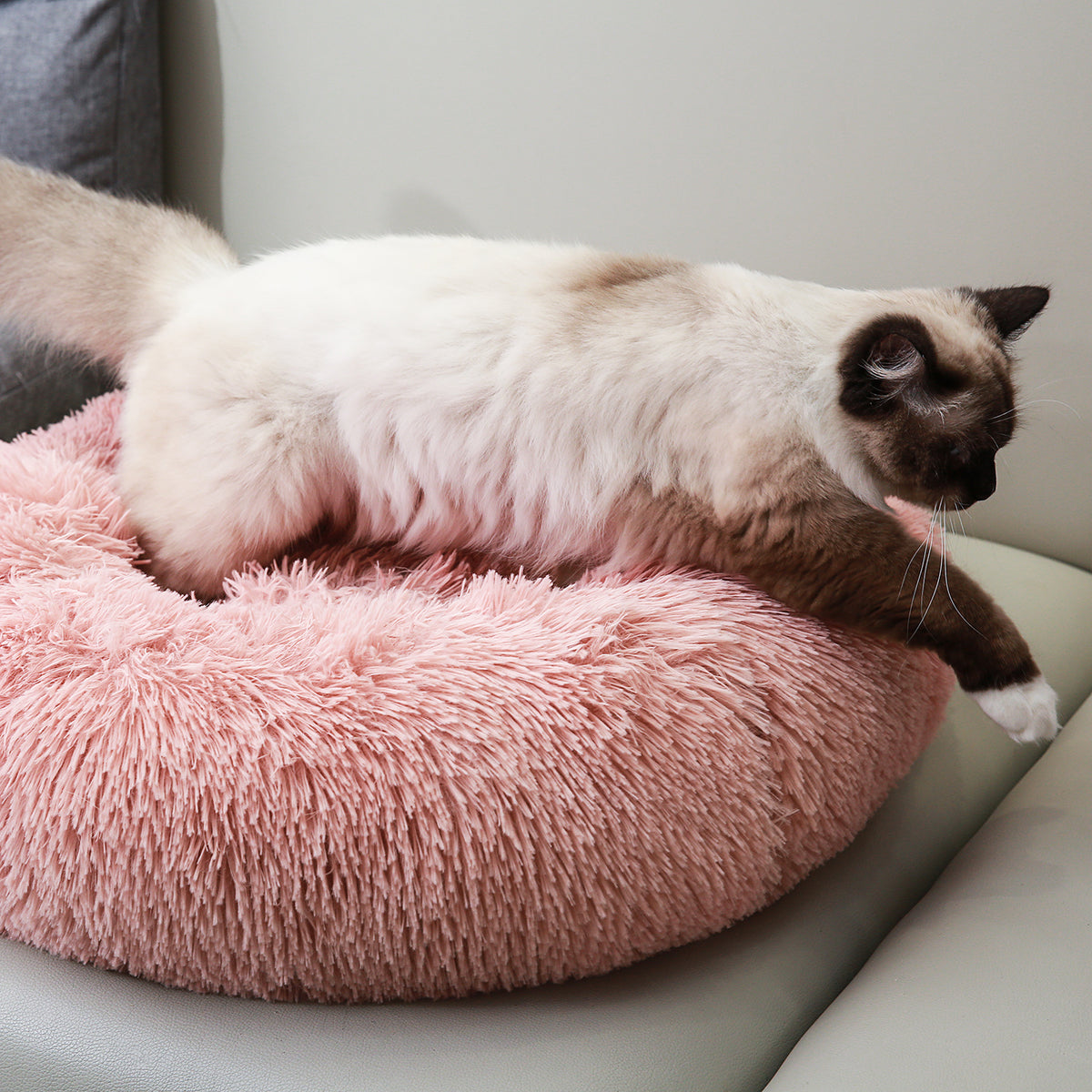 Round Pet Beds