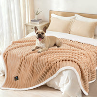 ultra-soft-calming-cut-pile-flannel-waterproof-pet-blanket-for-dogs-and-cats#color_camel