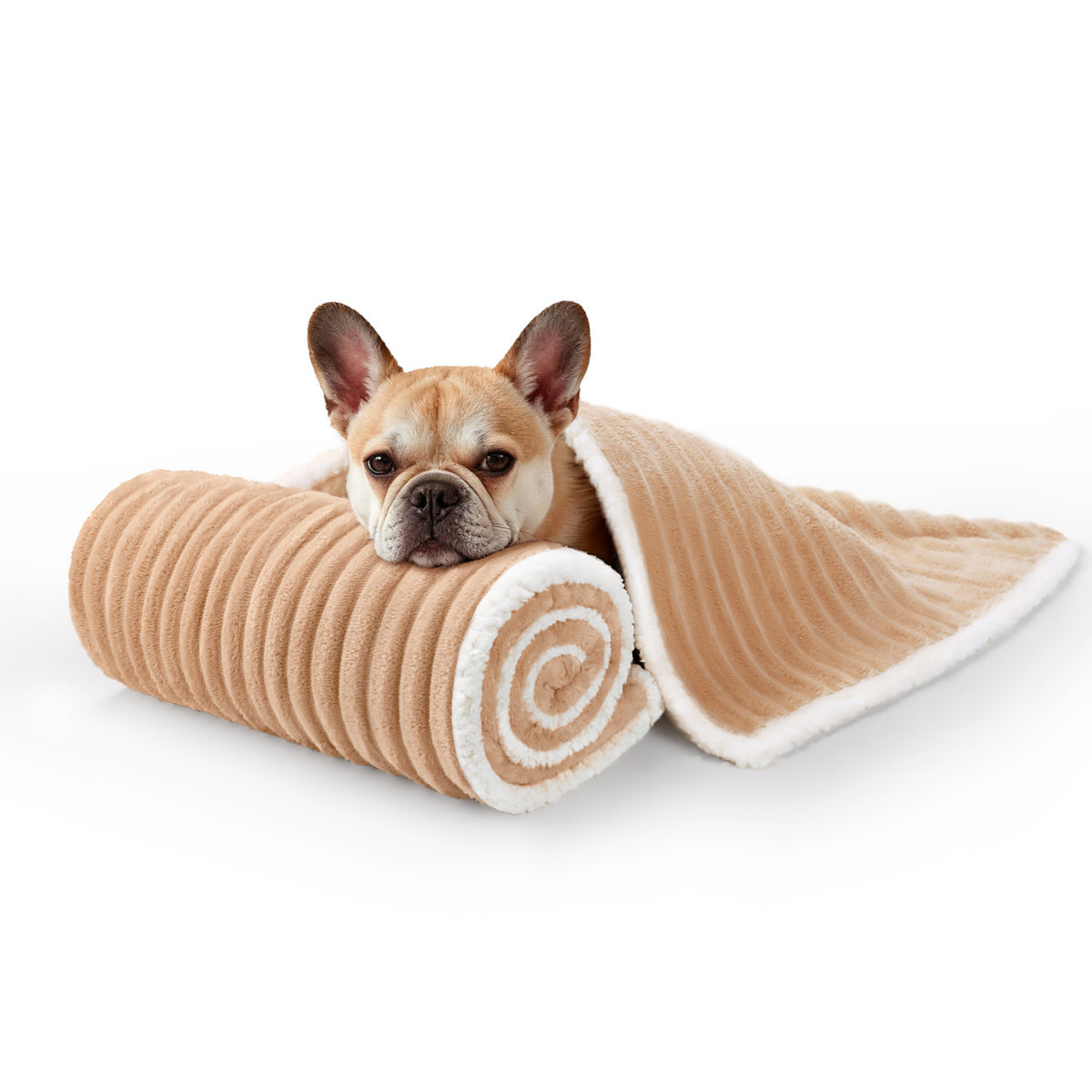 ultra-soft-calming-cut-pile-flannel-waterproof-pet-blanket-for-dogs-and-cats#color_camel