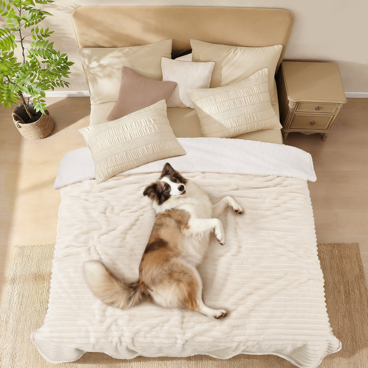 ultra-soft-calming-cut-pile-flannel-waterproof-pet-blanket-for-dogs-and-cats#color_beige