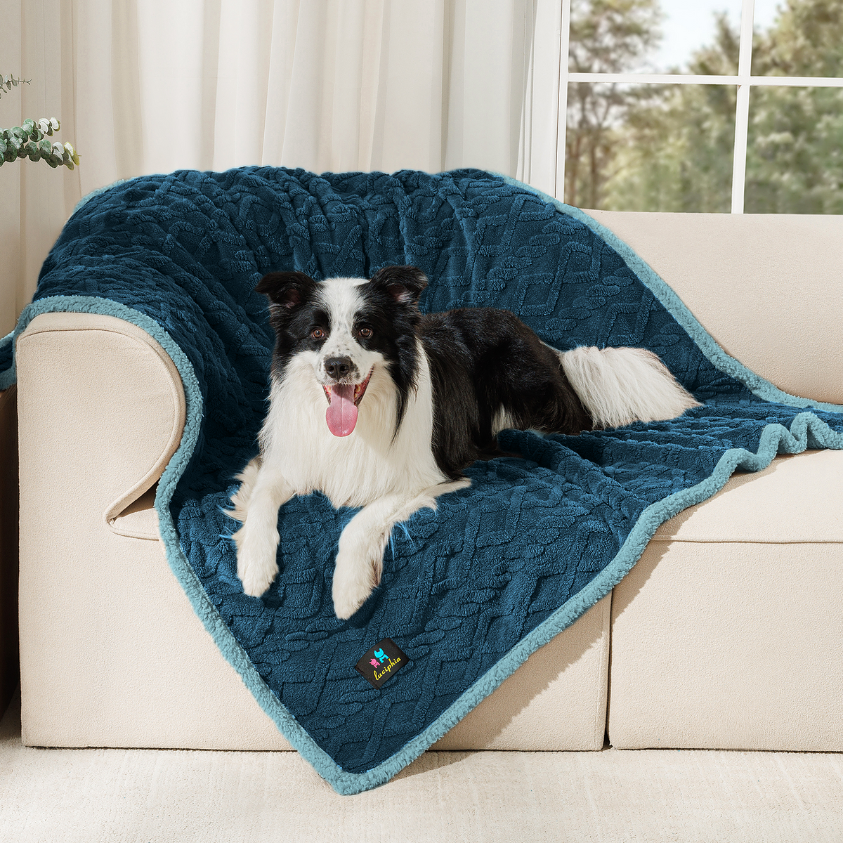 super-soft-reversible-sherpa-fleece-waterproof-pet-blanket#color_navy