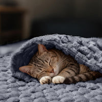 1-Pack 3D Textured Flannel Soft Fleece Pet Blanket for Dogs and Cats