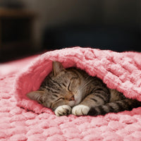1-Pack 3D Textured Flannel Soft Fleece Pet Blanket for Dogs and Cats