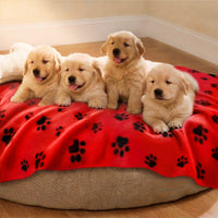 1-pack-6-cute-soft-fleece-blanket-for-small-medium-dogs-cats#color_red
