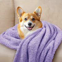 1-pack-3-soft-sherpa-dog-blanket-for-dog-puppy-cat#purple