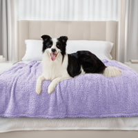 #Color_purple