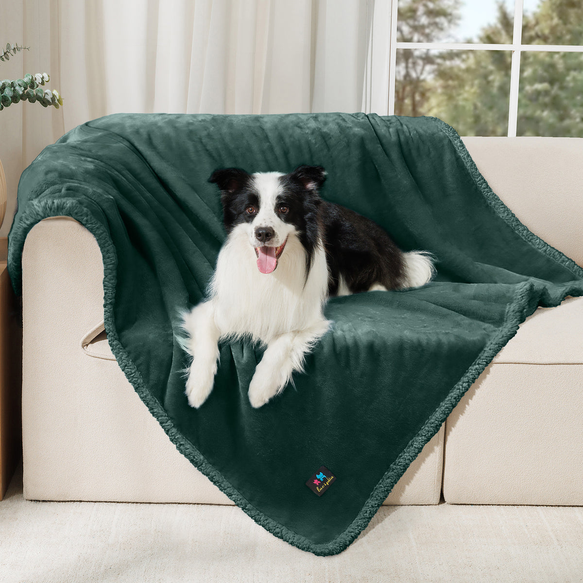 Waterproof Dog Blankets for Dog & Cat